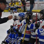 HC Tábor a Lokomotiva Veselí se radovaly na turnaji hokejových nadějí Teplárna cupu