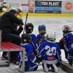 HC Tábor a Lokomotiva Veselí se radovaly na turnaji hokejových nadějí Teplárna cupu