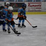 HC Tábor a Lokomotiva Veselí se radovaly na turnaji hokejových nadějí Teplárna cupu