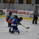 HC Tábor a Lokomotiva Veselí se radovaly na turnaji hokejových nadějí Teplárna cupu
