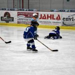 HC Tábor a Lokomotiva Veselí se radovaly na turnaji hokejových nadějí Teplárna cupu