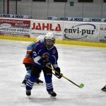 HC Tábor a Lokomotiva Veselí se radovaly na turnaji hokejových nadějí Teplárna cupu