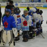 HC Tábor a Lokomotiva Veselí se radovaly na turnaji hokejových nadějí Teplárna cupu