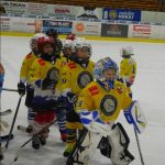 HC Tábor a Lokomotiva Veselí se radovaly na turnaji hokejových nadějí Teplárna cupu
