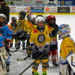 HC Tábor a Lokomotiva Veselí se radovaly na turnaji hokejových nadějí Teplárna cupu