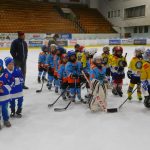 HC Tábor a Lokomotiva Veselí se radovaly na turnaji hokejových nadějí Teplárna cupu