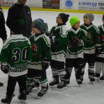 HC Tábor a Lokomotiva Veselí se radovaly na turnaji hokejových nadějí Teplárna cupu