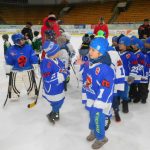 HC Tábor a Lokomotiva Veselí se radovaly na turnaji hokejových nadějí Teplárna cupu