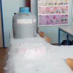 Zmrzlým banánem se dá zatlouct hřebík. Výuka fyziky na Zlaté stezce ožila