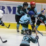 Milevsko vyrukovalo do charitativního utkání s mistrem světa v sestavě a udrželo první nulu sezony