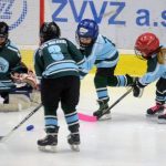 Milevsko vyrukovalo do charitativního utkání s mistrem světa v sestavě a udrželo první nulu sezony