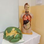 Střední škola obchodu, služeb a řemesel v Táboře přivítala zájemce o studium