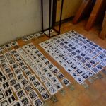Akademie umění a kultury třetího věku finišuje první semestr