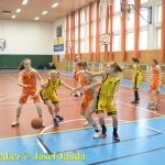 Tygřice roztrhaly unaveného soupeře
