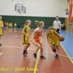 Tygřice roztrhaly unaveného soupeře