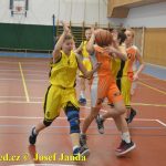 Tygřice roztrhaly unaveného soupeře
