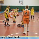 Tygřice roztrhaly unaveného soupeře