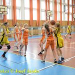 Tygřice roztrhaly unaveného soupeře