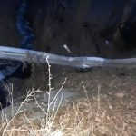 Hledají se svědci tragické nehody řidičky, která prorazila svodidla