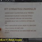 Tučapské gymnastky představují úspěchy