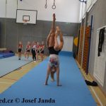 Tučapské gymnastky představují úspěchy