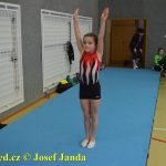 Tučapské gymnastky představují úspěchy