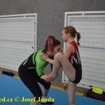 Tučapské gymnastky představují úspěchy
