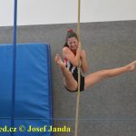 Tučapské gymnastky představují úspěchy