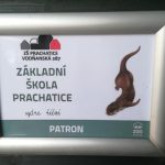 Prachatická Vodňanka se stala patronem vydrýska z Hluboké