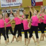 Sokolskou akademii u příležitosti 130. výročí oživili písečtí akrobatičtí siláci Five Fellas