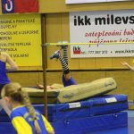 Sokolskou akademii u příležitosti 130. výročí oživili písečtí akrobatičtí siláci Five Fellas