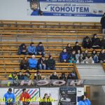Hadí souboj! Mamby sehrály první zápas proti Kobře