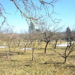Zamotaná situace kolem píseckých kasáren. Padala i ostrá slova