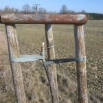 V Týně nad Vltavou někdo zničil jabloňovou alej