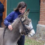 Diváky lákala i druhá přehlídka v hřebčinci