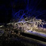 Na Hluboké spadl strom na dům, u Kunžaku poryv větru převrátil dodávku