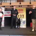 Statečné psí srdce putovalo do Strakonic a Jindřichova Hradce