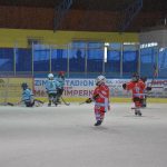 VELKÁ FOTOREPORTÁŽ. Ve Vimperku hráli na závěr hokejové sezony turnaj minižáků. Prvenství putovalo do Tábora a Klatov