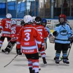 VELKÁ FOTOREPORTÁŽ. Ve Vimperku hráli na závěr hokejové sezony turnaj minižáků. Prvenství putovalo do Tábora a Klatov