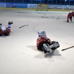VELKÁ FOTOREPORTÁŽ. Ve Vimperku hráli na závěr hokejové sezony turnaj minižáků. Prvenství putovalo do Tábora a Klatov
