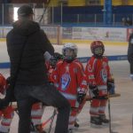 VELKÁ FOTOREPORTÁŽ. Ve Vimperku hráli na závěr hokejové sezony turnaj minižáků. Prvenství putovalo do Tábora a Klatov