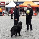 Písečtí malí cyklisté neseděli doma