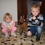 Děti v Milevsku viděly novou pohádku i loutky zblízka