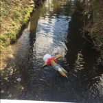 V Dražicích definitivně vyprovodili Moranu ze vsi