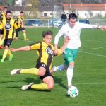 Milevská jarní neporazitelnost skončila v Jankově, příslibem výkon mladíků