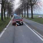 Do uniklých krav na silnici narazila krátce po sobě dvě osobní auta