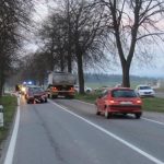 Do uniklých krav na silnici narazila krátce po sobě dvě osobní auta