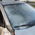 Do uniklých krav na silnici narazila krátce po sobě dvě osobní auta