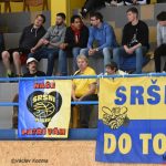 Ve švech praskající sršní peklo vidělo postup devatenáctky do semifinále