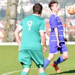 Hradiště na jaře poprvé ztratilo, s Mladou Vožicí se o body podělilo